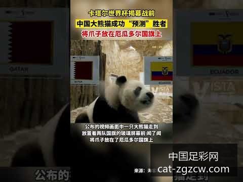 梅西领衔阿,根廷队以,战胜巴西队,中国足彩网官网,中国足彩网投注,中国足彩网实测,中国足彩网技巧,中国足彩网分析
