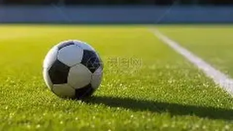 中国足彩网 资讯 120451 wdf