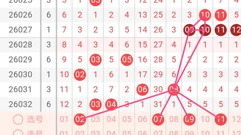 大乐透020期专家推荐：前区十码质合分析选号技巧