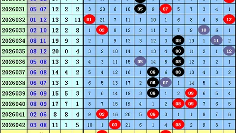 2026年048期大乐透专家质合分析推荐五码全包