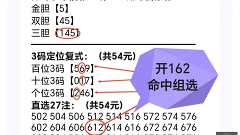 冯娜大乐透攻略：184万累计奖金见证实力，本期冲刺一等奖
