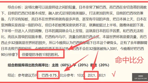 2026世界杯预测：31场精选，24场命中，卷土重来的攻略指南